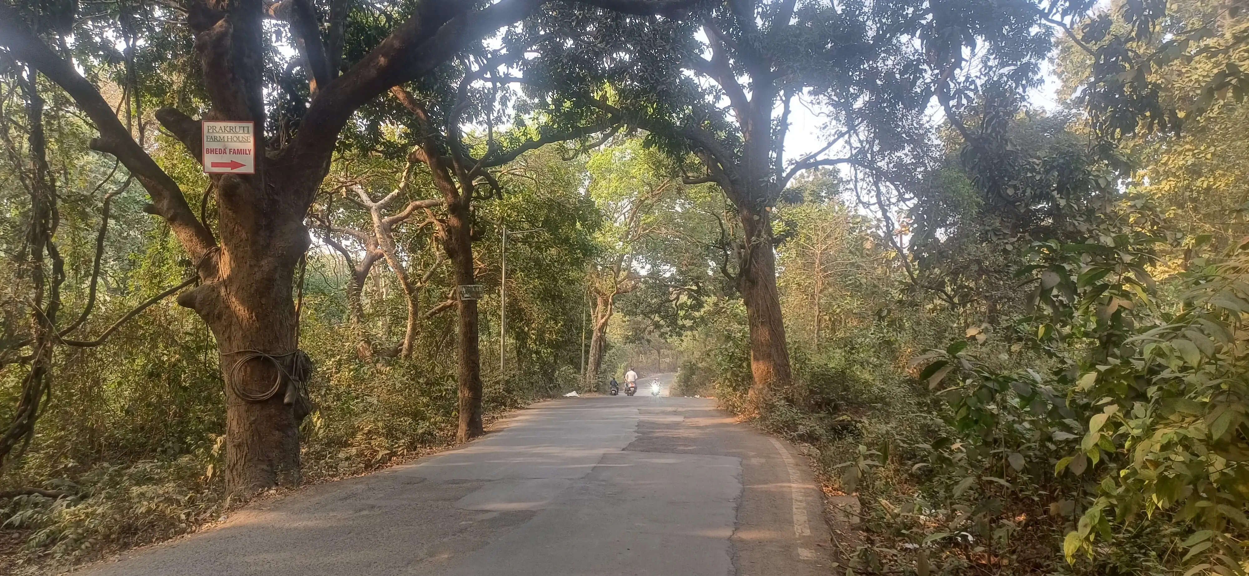 संजय गांधी पार्क उजड़ा तो ठाणे की हवा होगी विषैली_डॉ प्रशांत