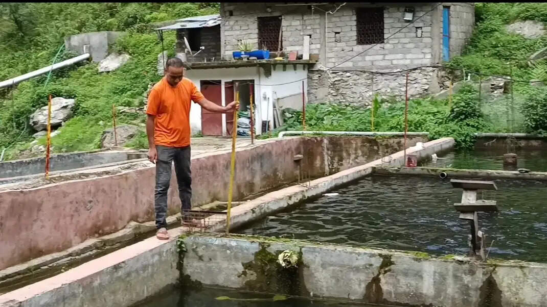 ट्राउट मत्स्य पालन से आत्मनिर्भर बने दिनेश, सालाना पांच लाख रुपये की आय