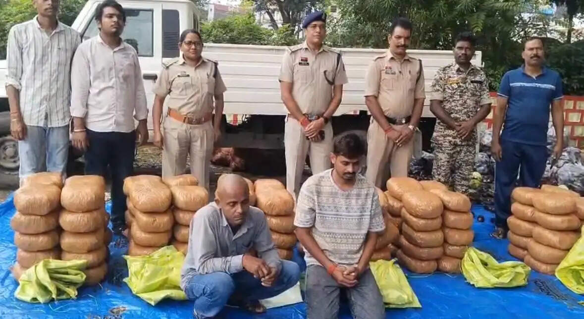 ऑपरेशन आघात में जशपुर पुलिस की बड़ी कार्रवाई, 520 किलो गांजा जब्त