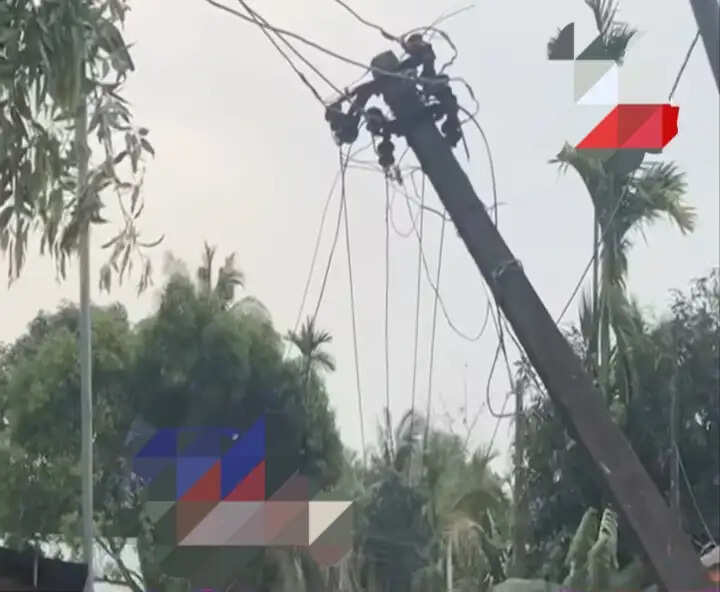 असम में आंधी-तूफान का कहर, चिरांग में पेड़ से टकराकर बाइक सवार की मौत