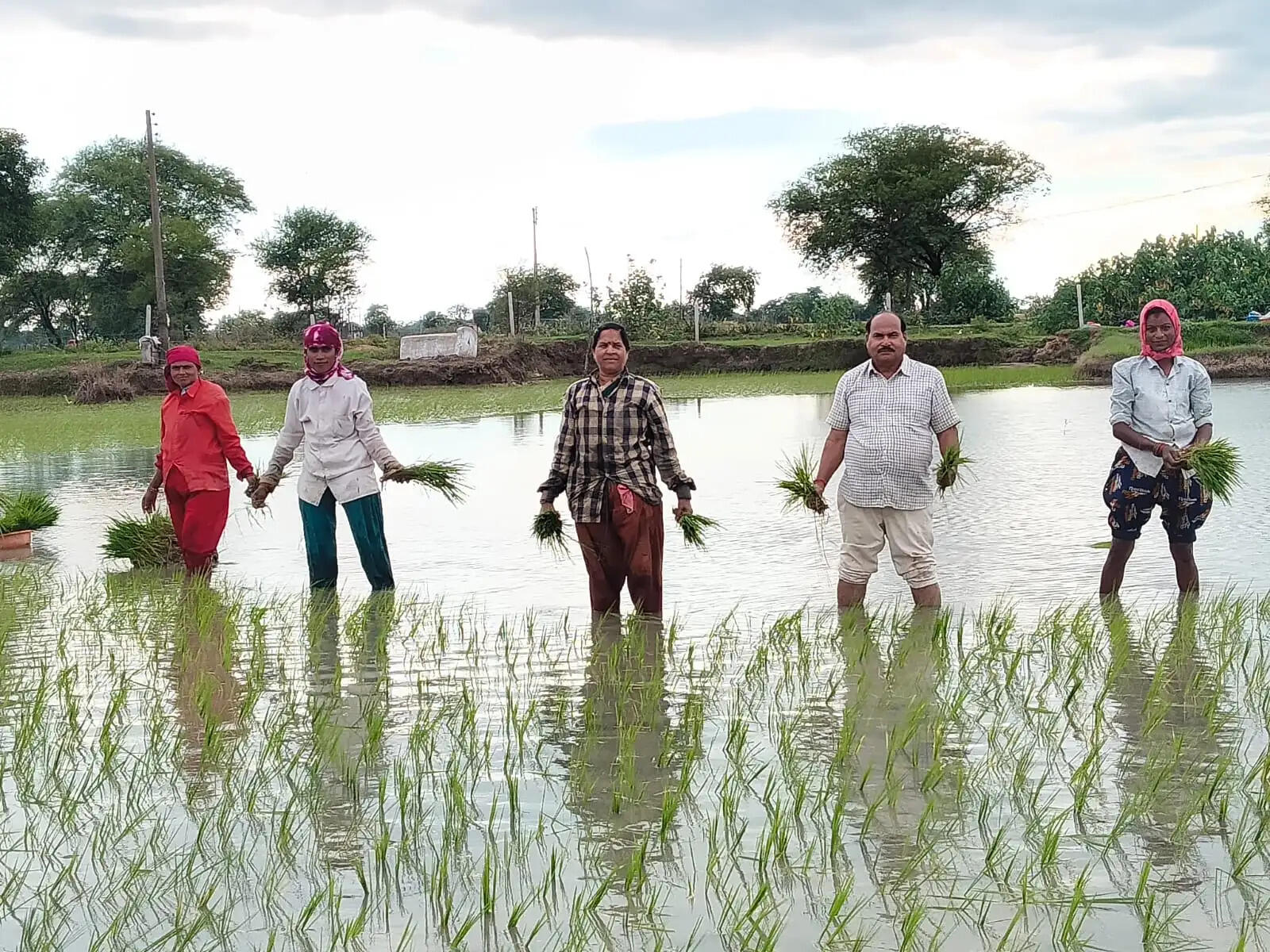 सुबह से शाम तक झमाझम बारिश, खिले किसानों के चेहरे