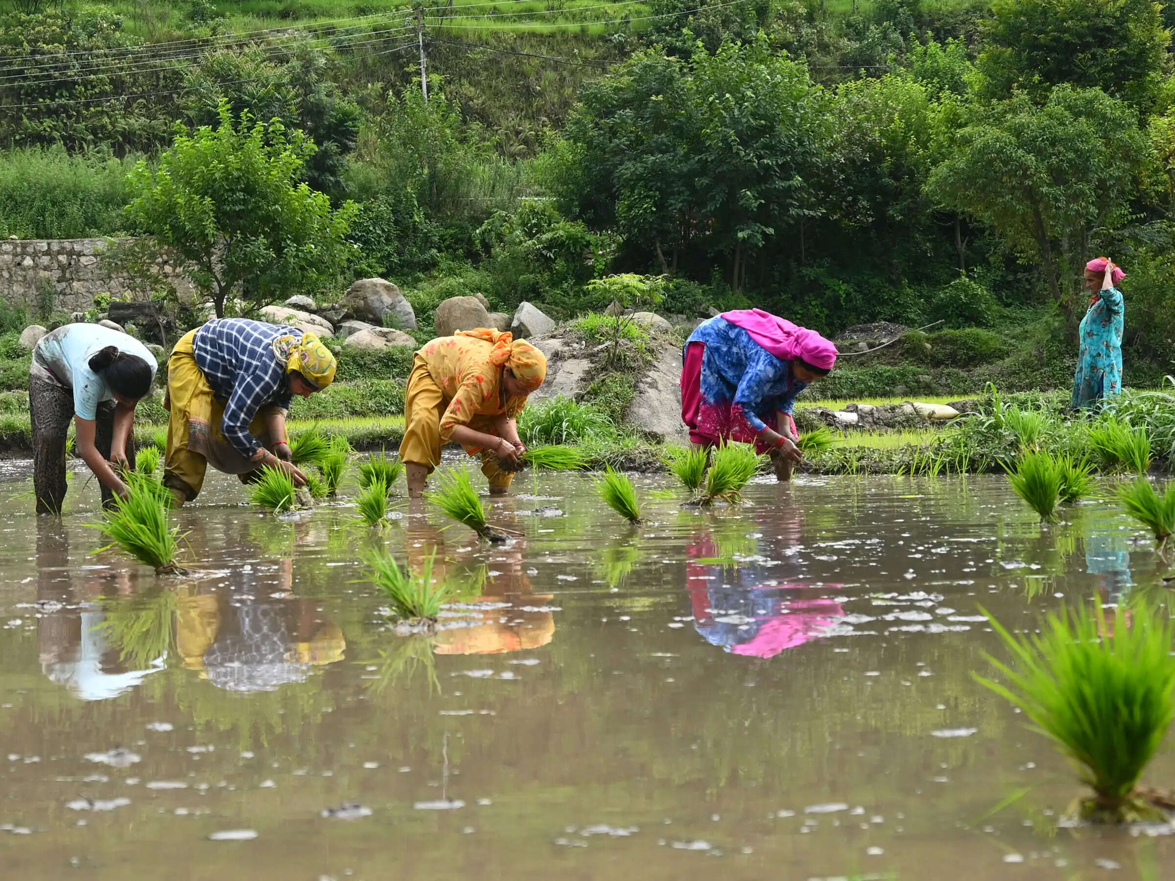 बारिश का रंग : मंडी पठानकोट मार्ग पर भारी भूसख्लन से आवाजाही रूकी, ब्यास में बढ़ गया जल स्तर
