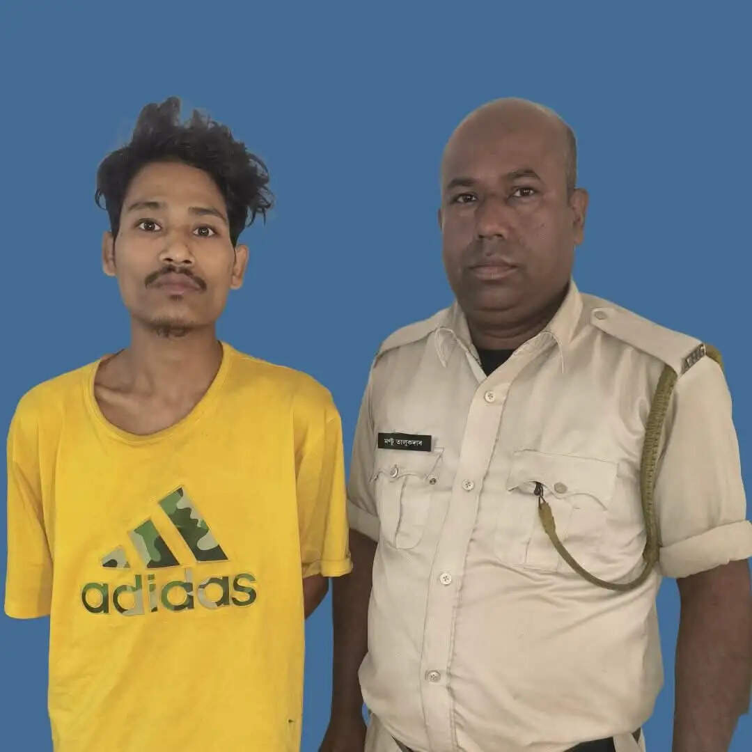 मोबाइल चोर गिरफ्तार