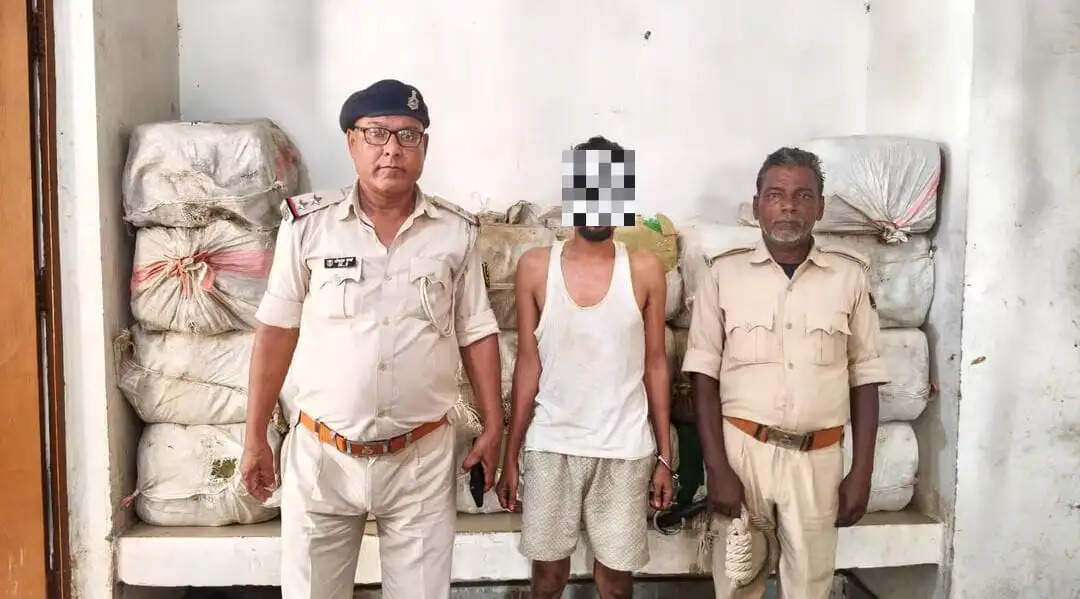 सुपौल में पिकअप से 427 किलो गांजा बरामद, एक तस्कर गिरफ्तार