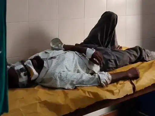छिंदवाड़ा:&nbsp;बंजारी घाटी में&nbsp;ब्रेक फेल होने से बस पेड़ से टकराई, 12 घायल