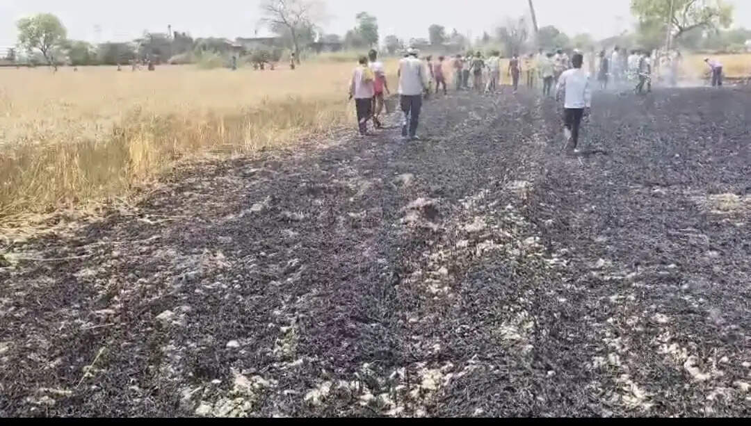 औरैया में विजली चिंगारी से गेहूं के खेत में आग, ग्रामीणों की तत्परता से बड़ा हादसा टला