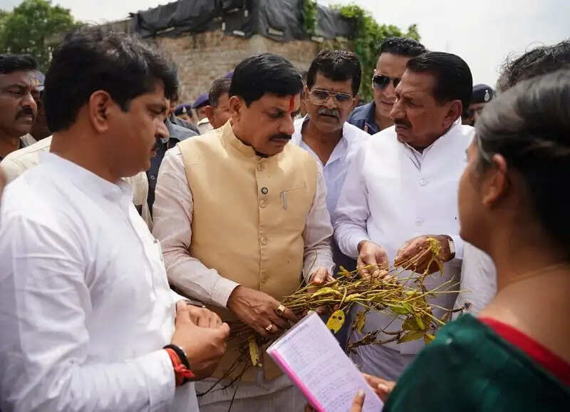मप्रः अगले पांच साल तक जारी रहेगी प्रधानमंत्री फसल बीमा योजना, लाखों किसानों को मिलेगा लाभ