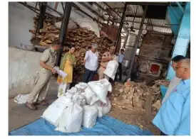 पुलिस ने नष्ट किए करोड़ों के नशीले पदार्थ: 81 प्रकरणों में जब्त मादक पदार्थ का निस्तारण