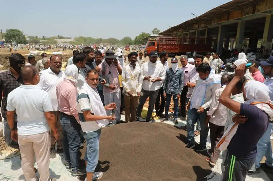 मप्र के नीमच जिले की हर्बल मंडी की देशभर में धूम, कई राज्यों से पहुंच रहे किसान