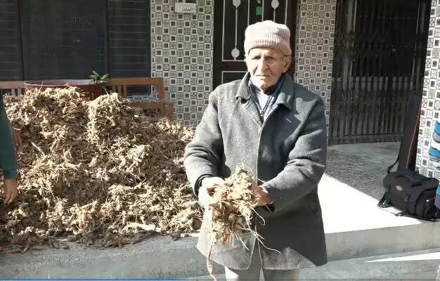 प्राकृतिक खेती से की कमाई, रिटायर्ड प्रिंसिपल ने कई क्विंटल हल्दी उगाई
