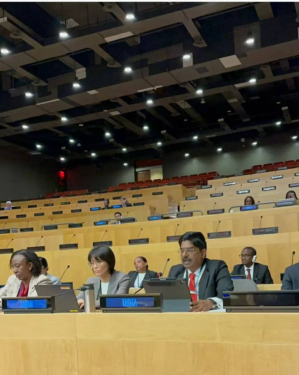 संयुक्त राष्ट्र में भारत ने दोहराई महिलाएं, शांति और सुरक्षा एजेंडा के प्रति अपनी अटूट प्रतिबद्धता