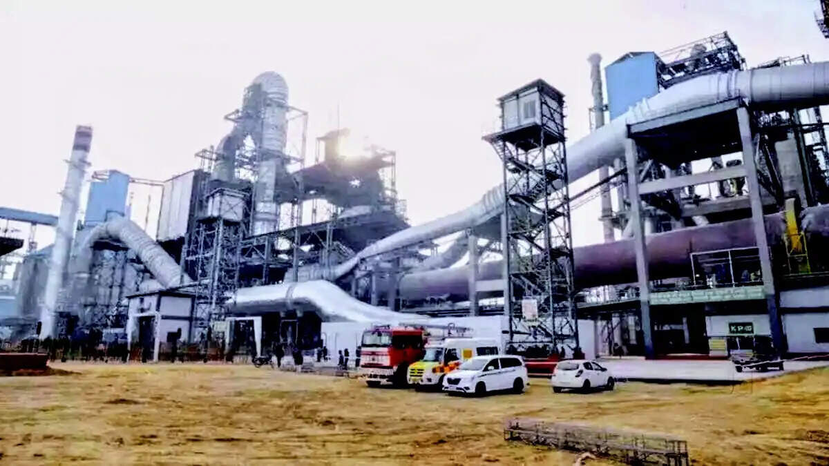 एनजीटी ने पानीपत के सीमेंट प्लांट पर मांगी विस्तृत रिपोर्ट