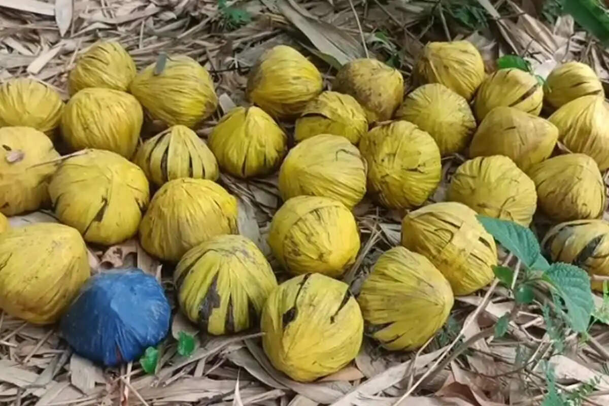 बीरभूम के मल्लारपुर में 31 ताजा बम बरामद होने से इलाके में दहशत