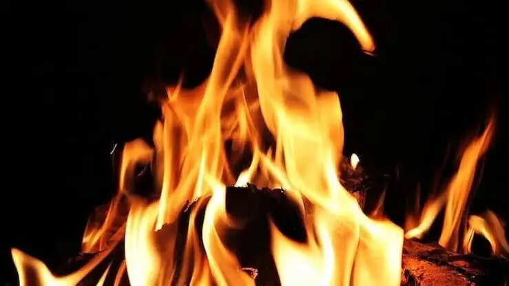 गैस लीकेज से लगी आग में तीन लोग झुलसे, एक दिल्ली रेफर