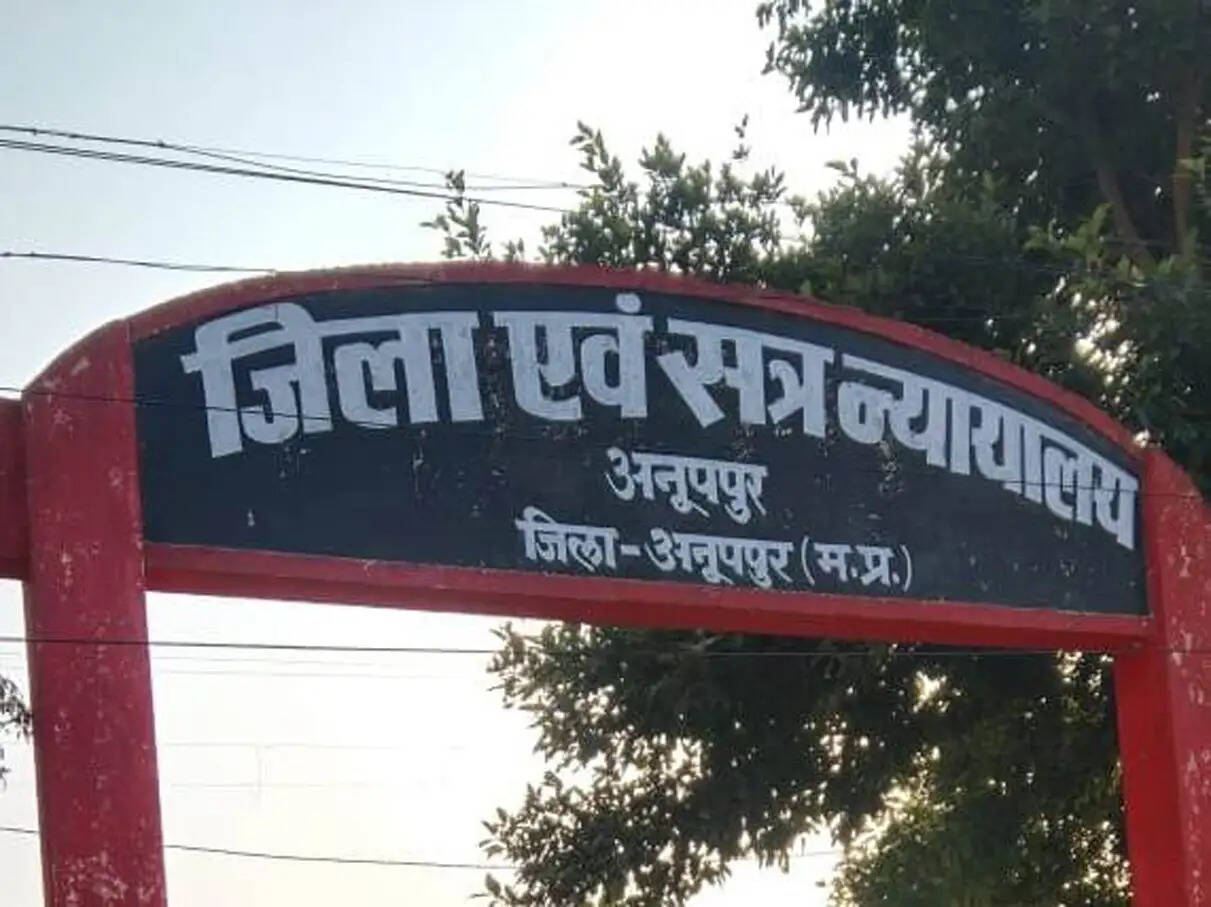 अनूपपुर: अवैध रुप से हथियार और गांजा रखने के दो आरोपियों को चार साल का कारावास, जुर्माना भी लगाया