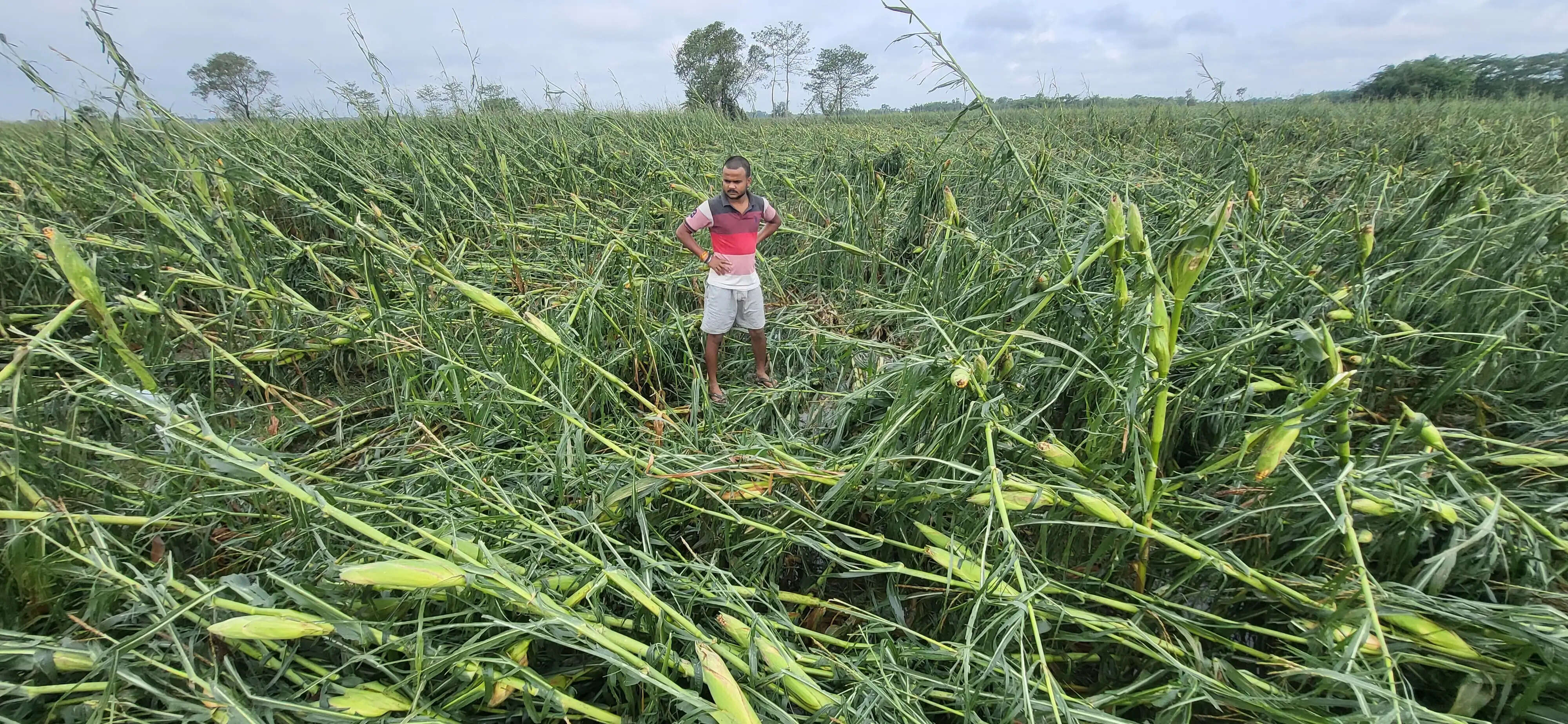 आंधी, बारिश से तबाही, विद्युत आपूर्ति देर रात तक ठप