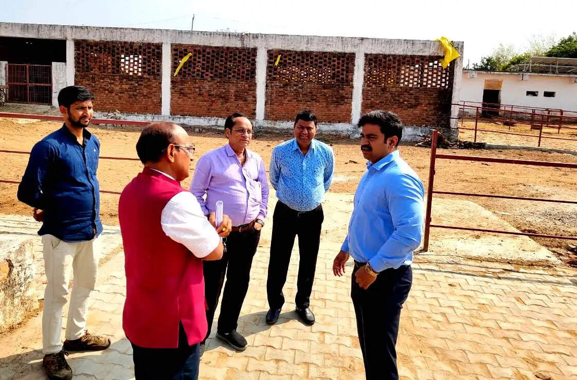 बिजौली गौशाला का निरीक्षण, व्यवस्थाओं को बेहतर बनाने के निर्देश