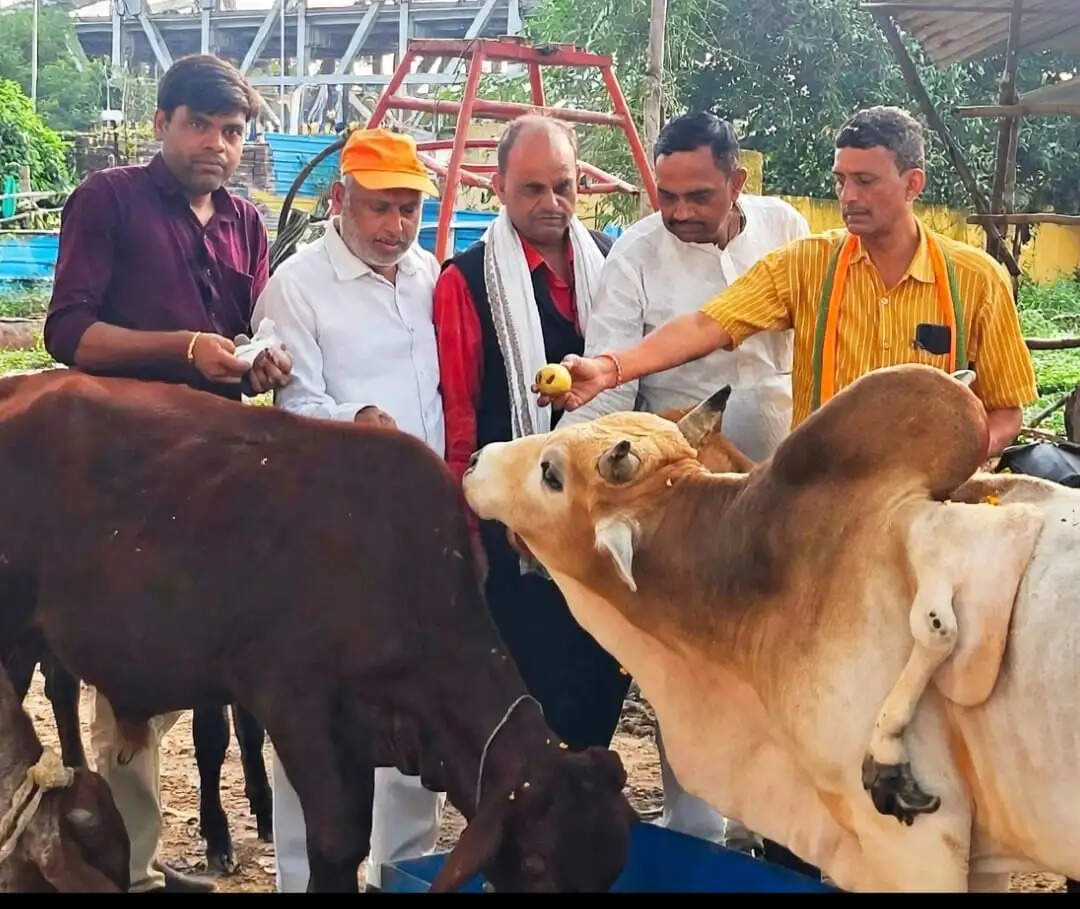 गौमाता की सेवा सभी देवी-देवताओं की सेवा के समान : राजेश केसरवानी