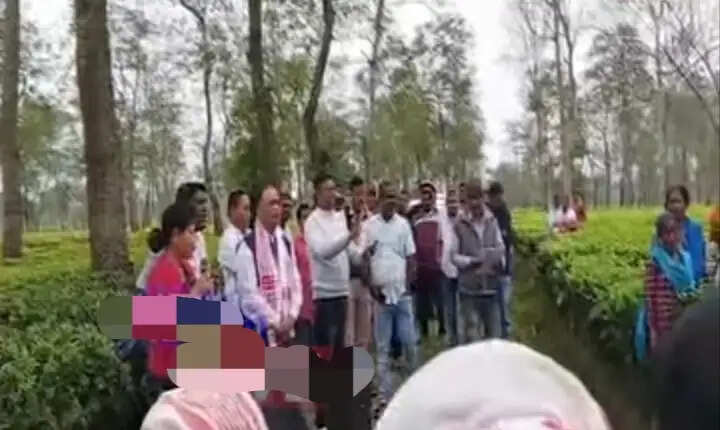 टिंगखोंग में कांग्रेस प्रत्याशी को चाय श्रमिकों ने खदेड़ा, बिमल बोरा के समर्थन का ऐलान