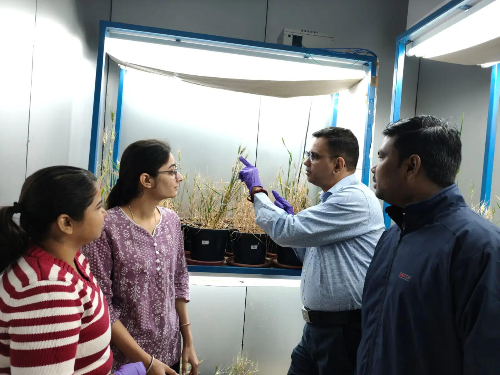 खोज: बीएचयू–आईआईटी के वैज्ञानिकों ने सतत फसल सुरक्षा के लिए विकसित की हरित नैनो प्रौद्योगिकी