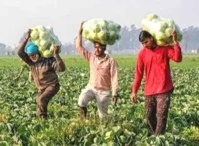 नवाचार से उत्तर प्रदेश के किसान हो रहे समृद्ध