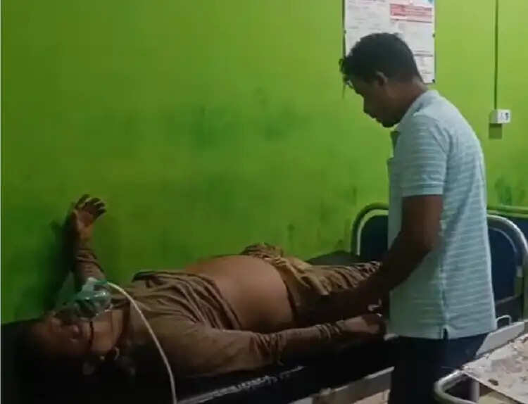 रेस्क्यू ऑपरेशन के दौरान जंगली हाथी के हमले में फॉरेस्ट गार्ड घायल