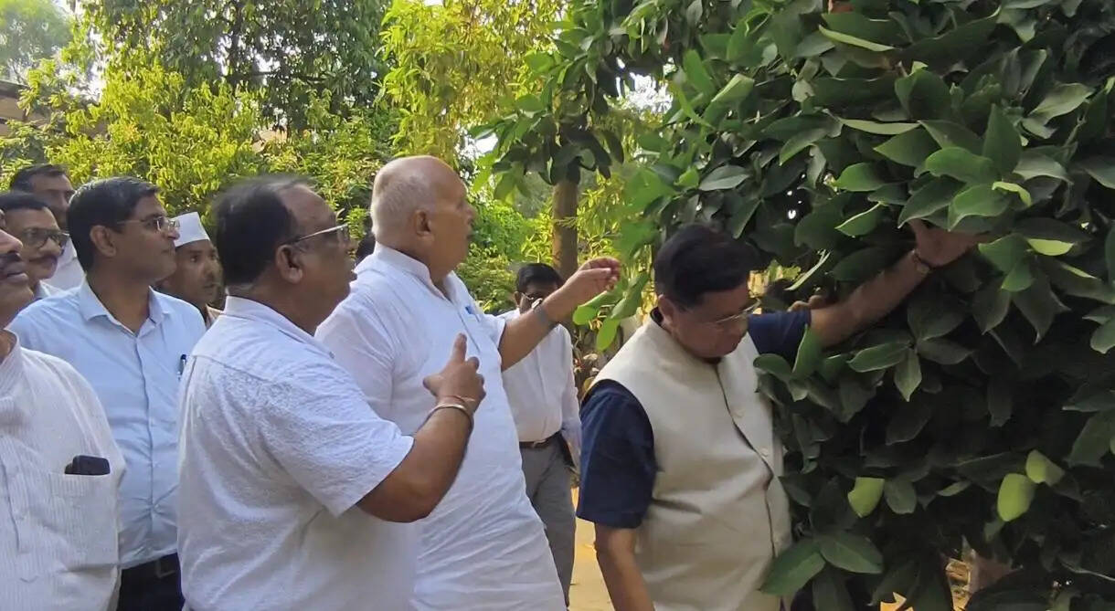 मोटे अनाज की खेती पर ध्यान दें किसान : सूर्य प्रताप शाही