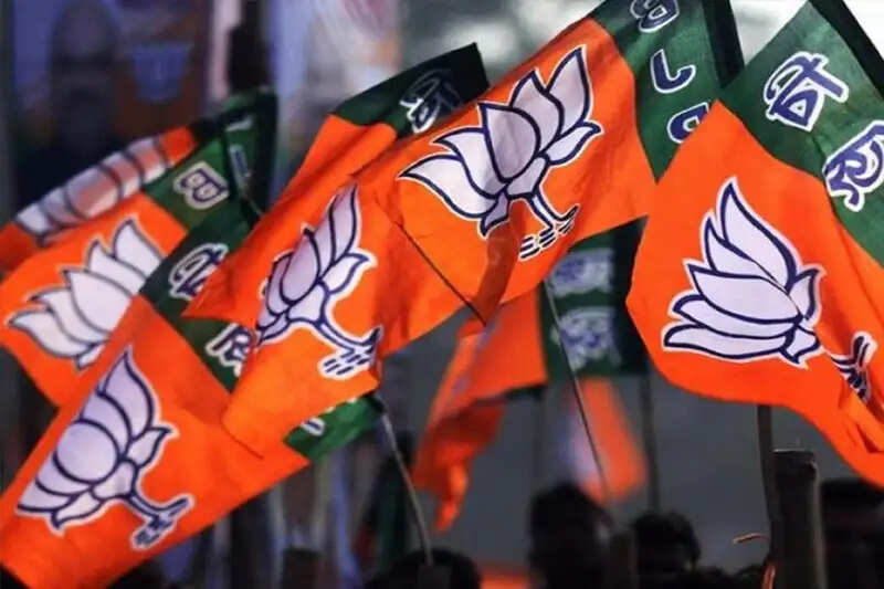 नगांव लोकसभा उपचुनावः भाजयुमो 1,800 आंगन बैठकों की तैयारी में जुटा