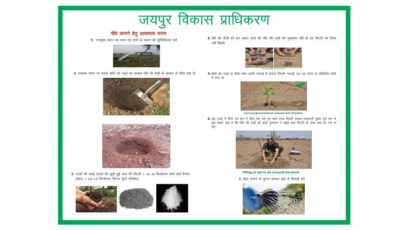 पौधा नहीं, पौधारोपण का तरीका भी सिखाएगा जेडीए