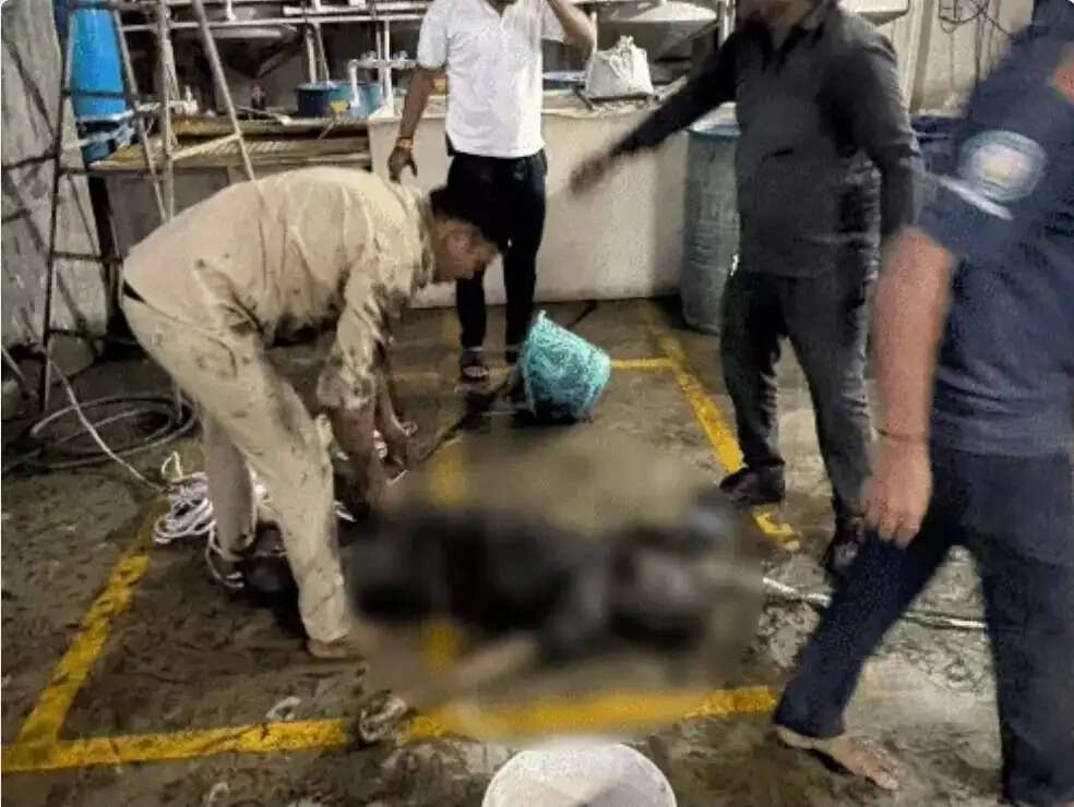 गुजरात के सूरत में ईटीपी प्लांट की टंकी में उतरे 4 सफाई कर्मियों की मौत