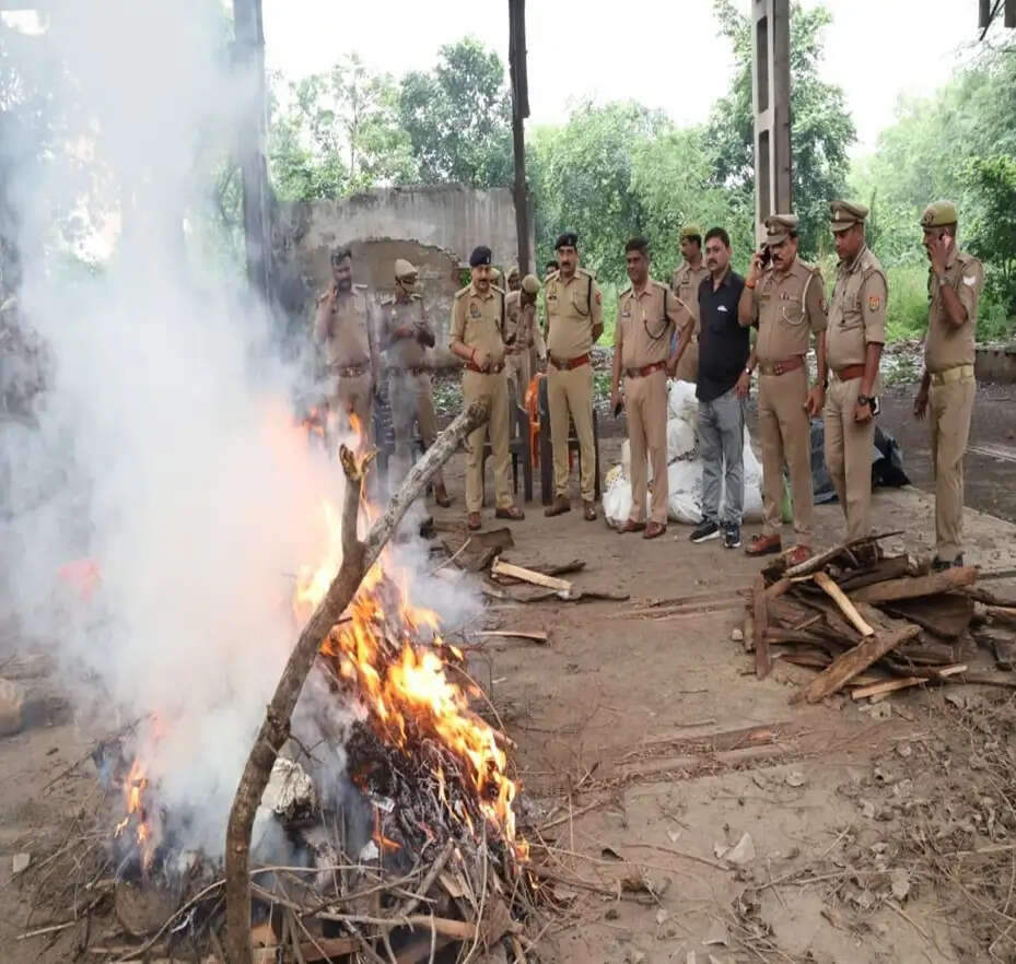 प्रयागराज : ऑपरेशन दहन के तहत 6.41 करोड़ रुपये से अधिक का गांजा विनष्टीकरण