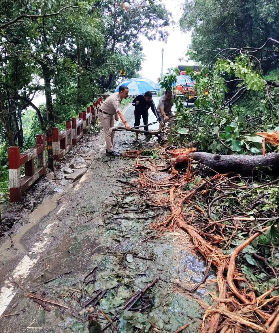 कालाढूंगी-नैनीताल मार्ग पर पेड़ गिरने से यातायात ठप, 15 और मार्ग बंद