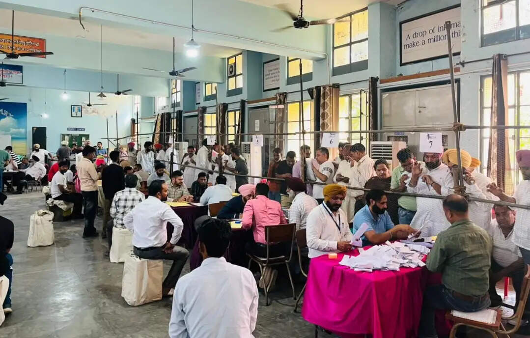 पंजाब:निकाय चुनाव में आआपा को बढ़त, अकाली दल भी मजबूत