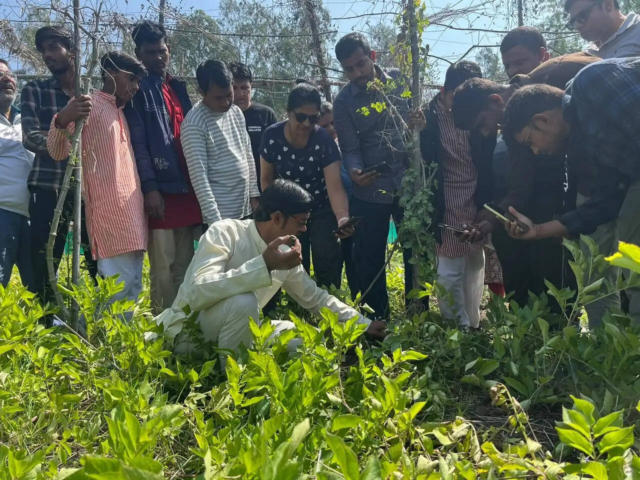 एक खेत, 45 फसलें और पानी की 80 फीसदी तक बचत! मल्टीलेयर कृषि से देशभर के किसान सीख रहे हैं आत्मनिर्भरता का मंत्र