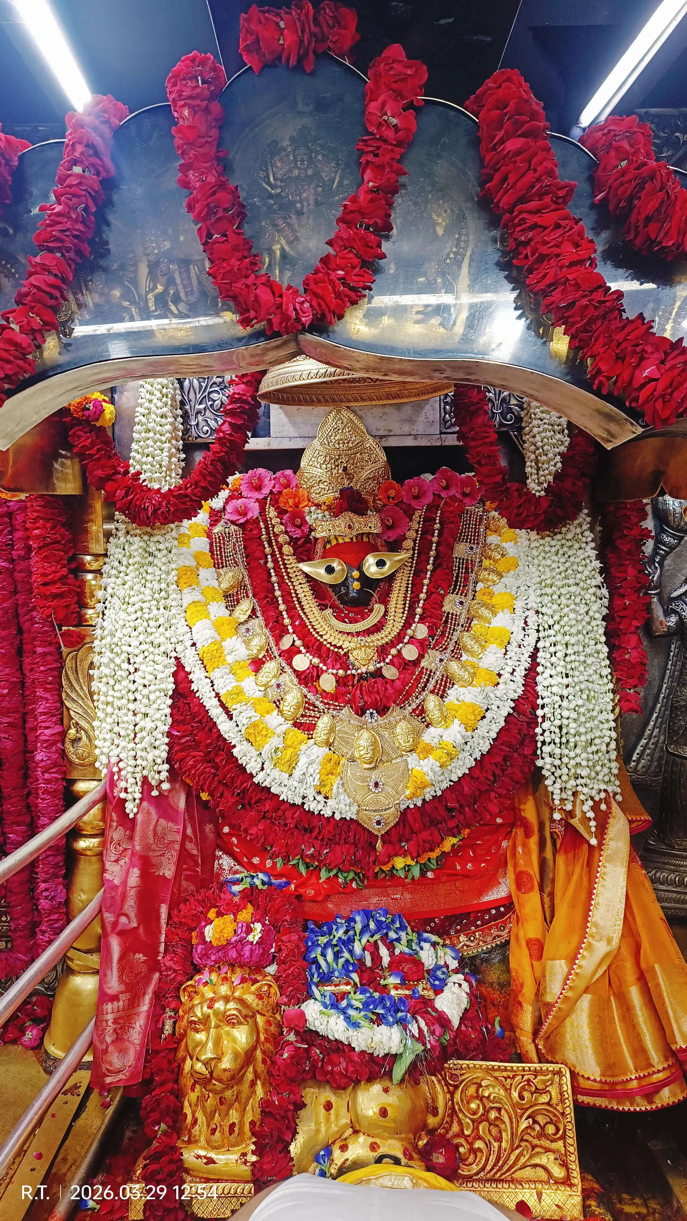 चैत्र एकादशी पर विंध्य धाम में उमड़ा आस्था का सैलाब, चार लाख श्रद्धालुओं ने किए दर्शन