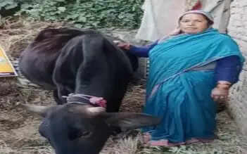 दूध के कारोबार से कमला ने बदली घर की तस्वीर