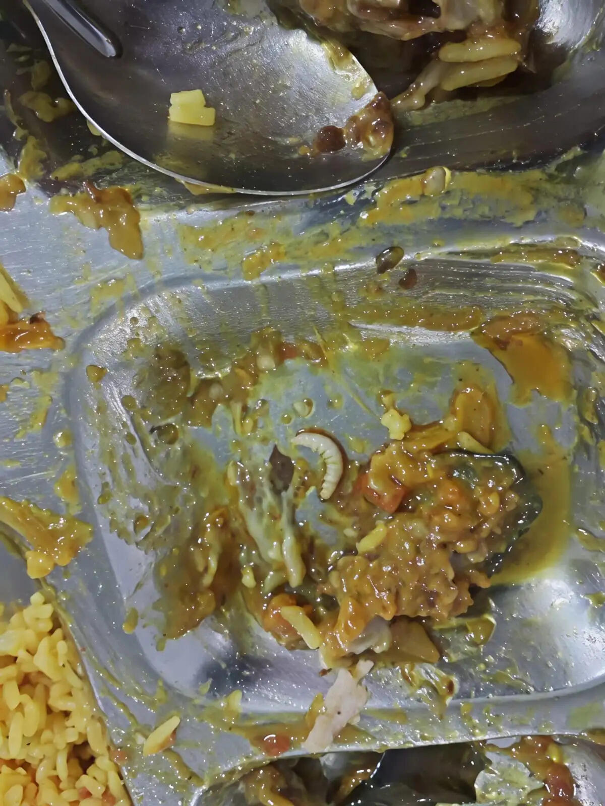 एटरनल यूनिवर्सिटी बड़ू साहिब के छात्रावास की मेस में भोजन में कीड़े मिलने से भड़की छात्राएं