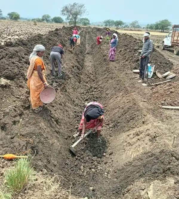 अनूपपुर: पुष्पराजगढ़ में ‘जल गंगा संवर्धन अभियान’ से हो रहा है नहर सुदृढ़ीकरण