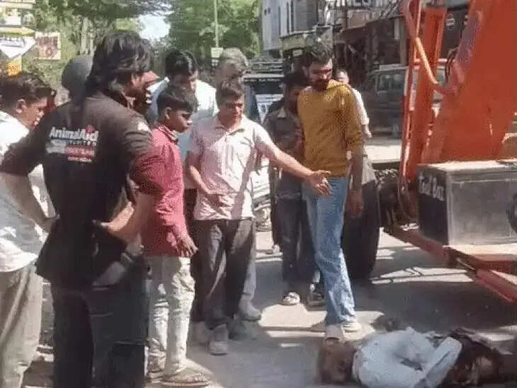 क्रेन की टक्कर से बुजुर्ग की मौत, हादसे के बाद चालक फरार