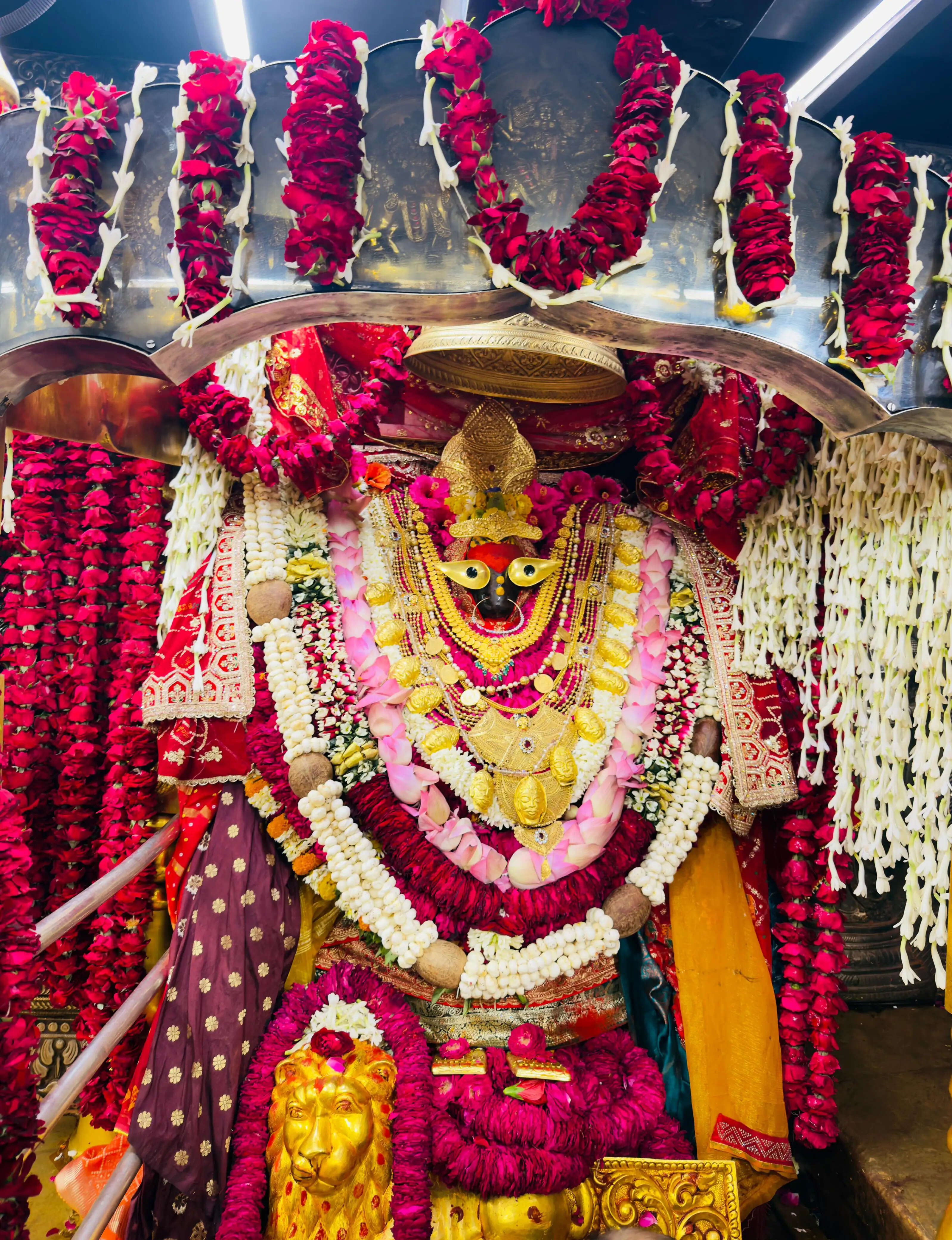 षष्ठी पर विंध्य दरबार में आस्था का सैलाब, तीन लाख से अधिक श्रद्धालुओं ने टेका मत्था