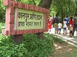 कानपुर चिड़ियाघर में तिरुपति से आए मादा ढोल का निधन, जांच के लिए बरेली भेजे गए नमूने