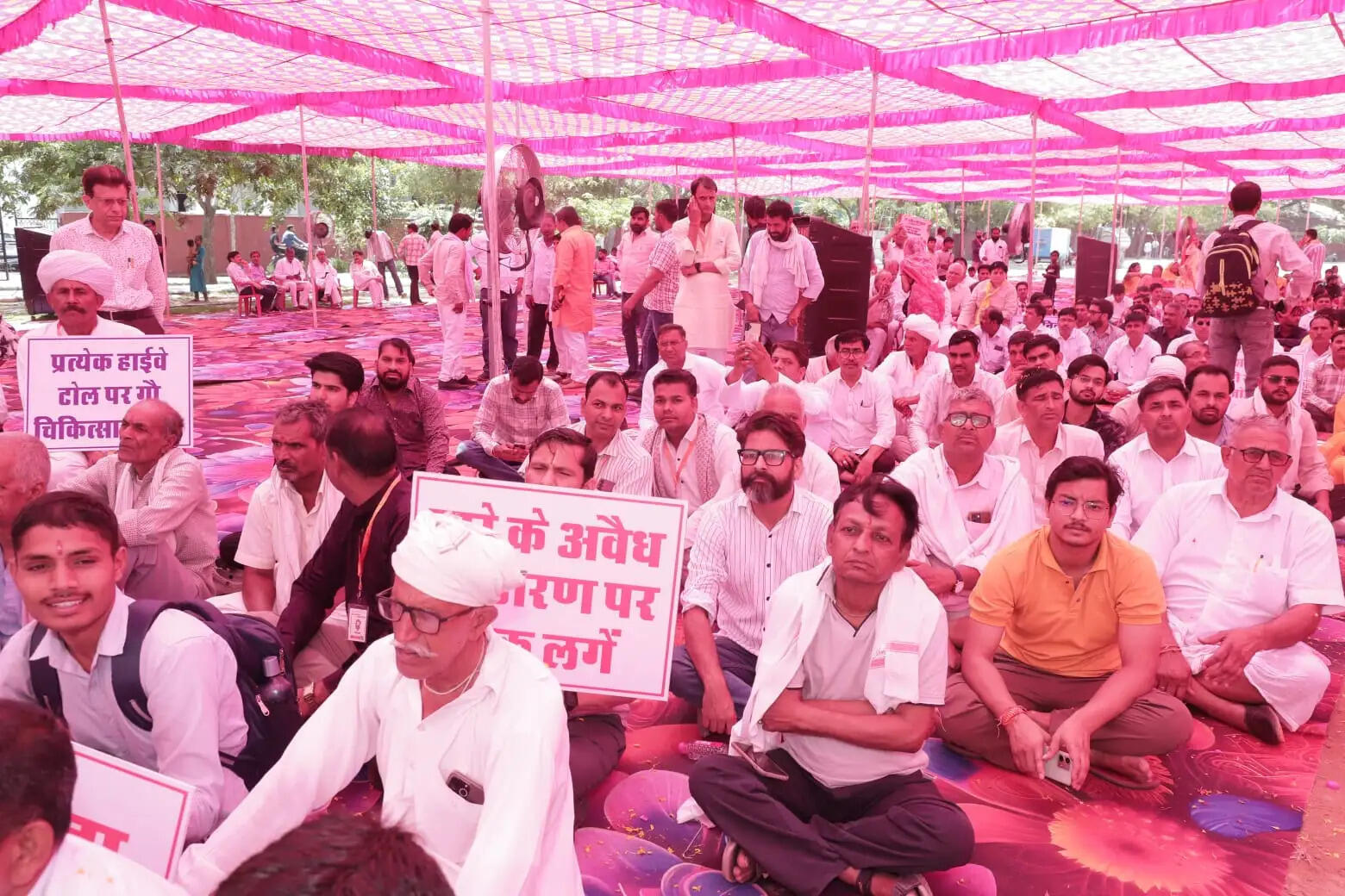 गो संरक्षण और संवर्धन एवं सम्मान को लेकर प्रदेश भर में मनाया&nbsp; गो दिवस