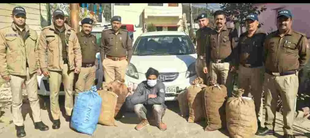 अल्मोड़ा पुलिस ने 86 किलो गांजा के साथ एक तस्कर काे दबोचे