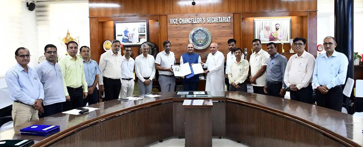 हिसार : अब प्रदेश में अधिक किसानों तक पहुंच सकेंगे एचएयू की सरसों के बीज