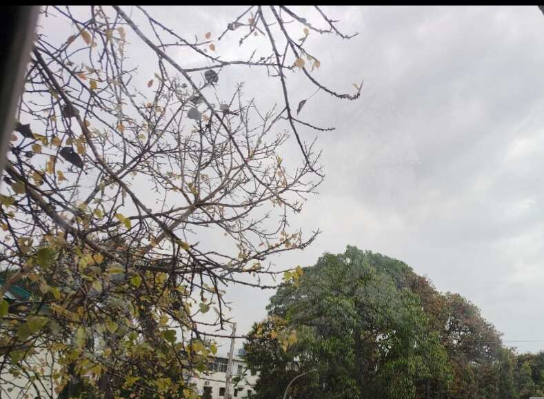 बारिश के बाद देहरादून का मौसम सुहाना, तापमान में गिरावट