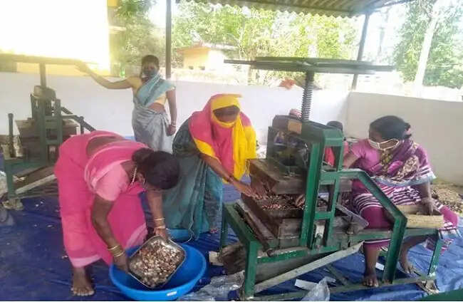न्यूजीलैंड का प्रतिनिधिमंडल आज करेगा बैतूल के नंदा वन धन विकास केंद्र हनी कलेक्शन सेंटर का दौरा