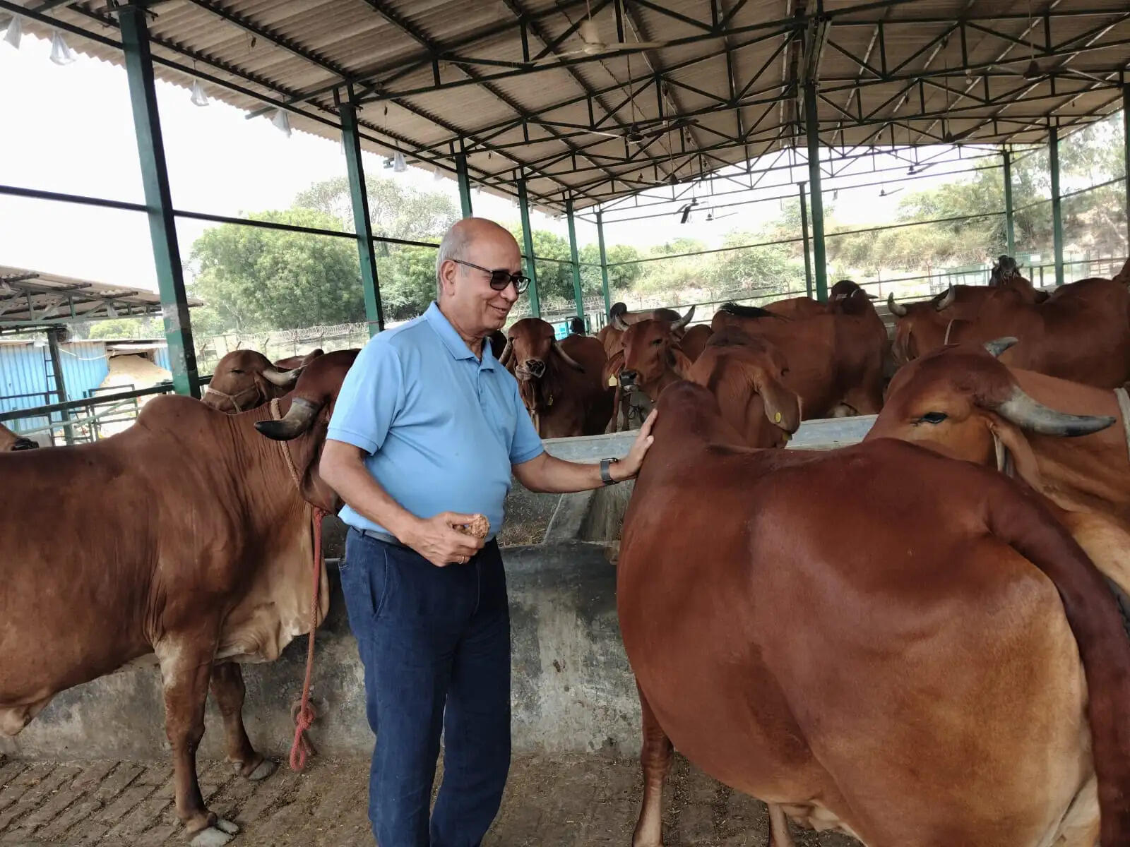 सेना में बढ़ी यूपी की देसी गायों के हाई प्रोटीन गो उत्पादों की डिमांड