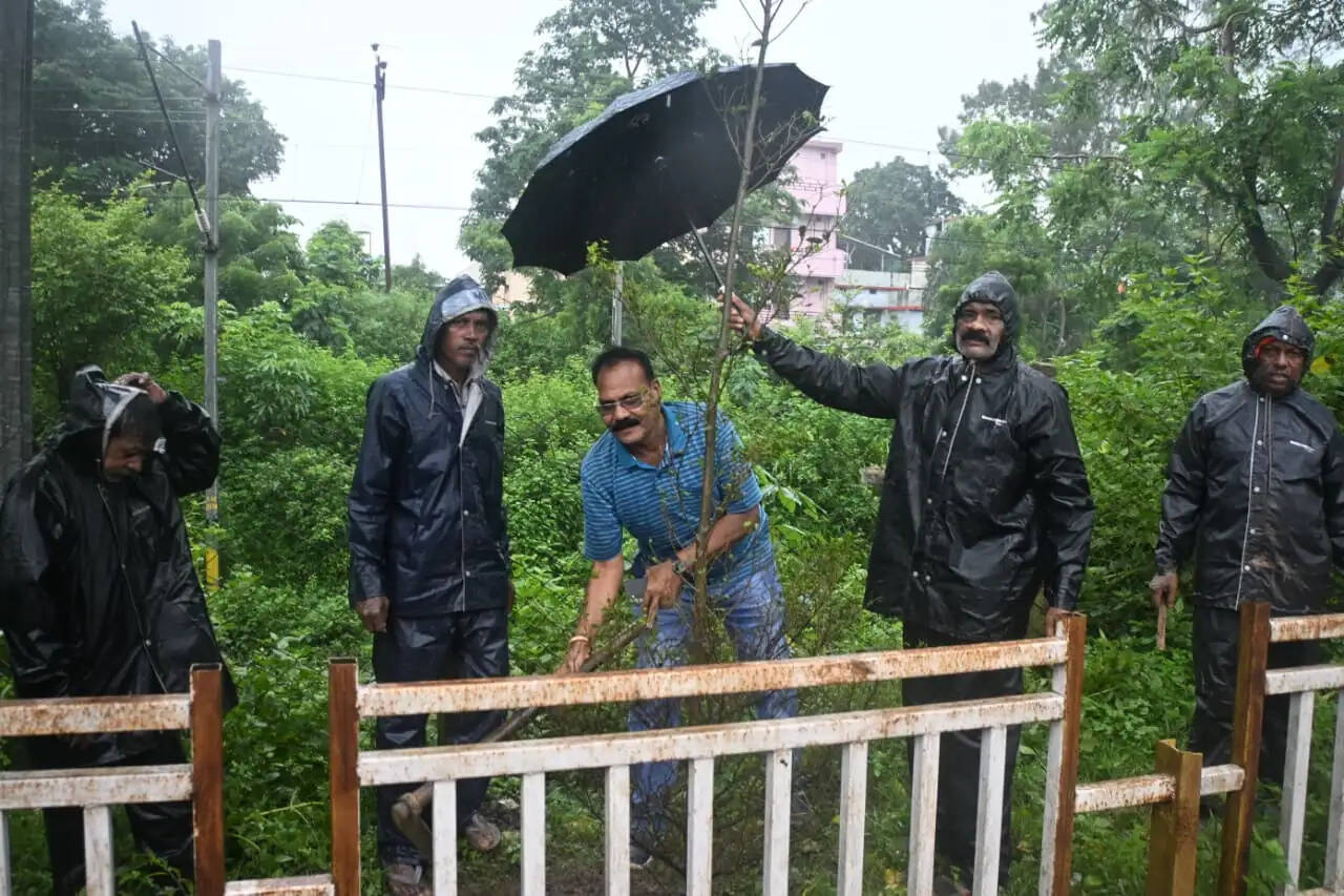 काेरबा : टीपी नगर मुख्य मार्ग पर हुआ वृक्षारोपण, ‘एक पेड़ मां के नाम’ अभियान को मिली गति