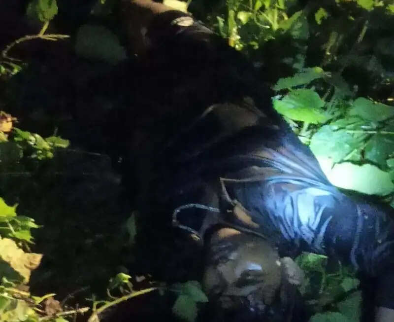 बीएसएफ की फायरिंग में बांग्लादेशी तस्कर ढेर, त्रिपुरा के लतियापुरा सीमा पर तनाव