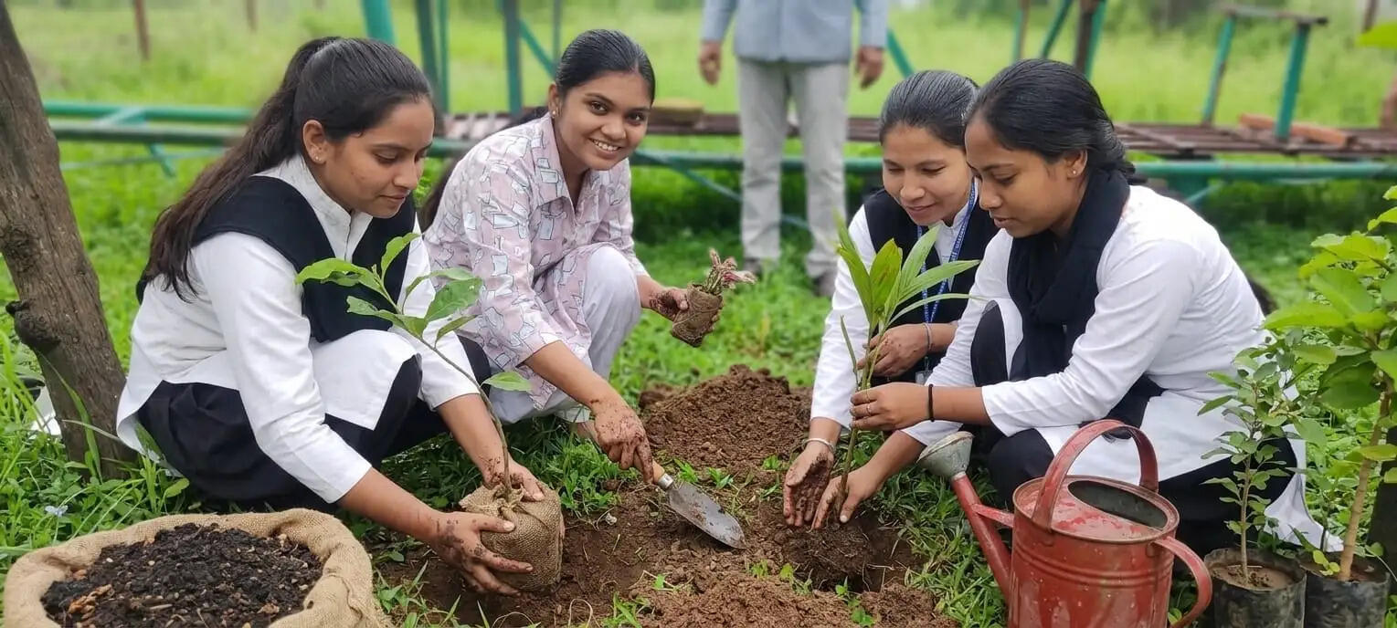 अनूपपुर: जिले के 10 निकायों में लगेंगे 4 लाख पौधे, 22 जुलाई से शुरू होगा महाअभियान